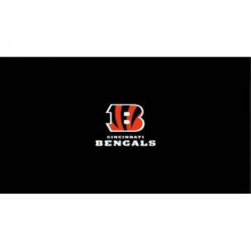 Cincinnati Bengals Game Room Merchandise | billiards room | bar | NFL